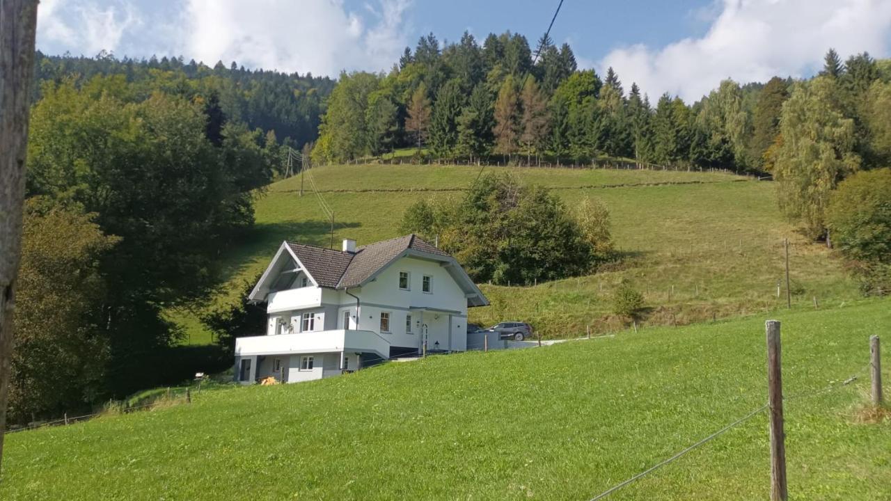 Aparts Lakeview -Gerlitzen -Ossiacher See -Ski Tratten  Экстерьер фото